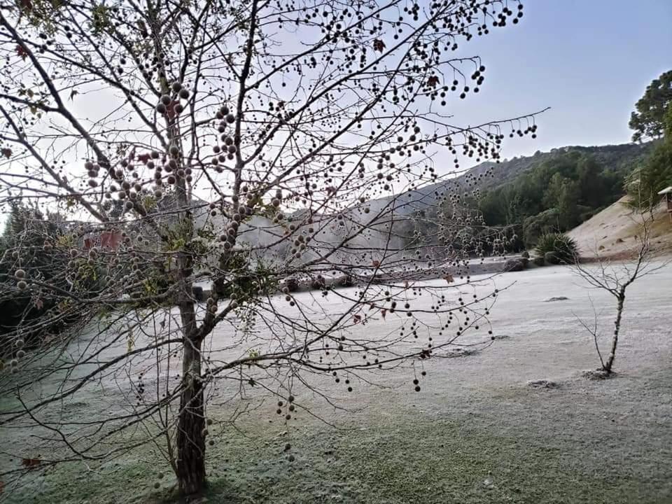 Chalé da Vó Rosa Monte Verde  Esterno foto