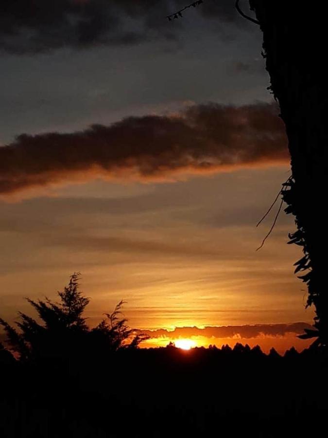 Chalé da Vó Rosa Monte Verde  Esterno foto