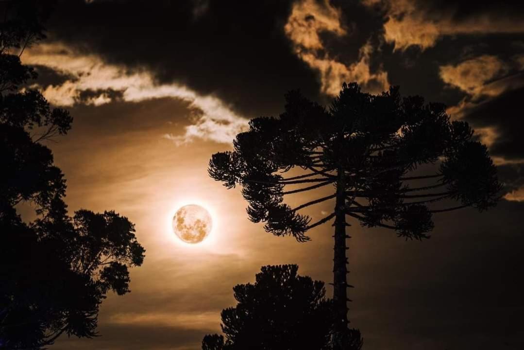 Chalé da Vó Rosa Monte Verde  Esterno foto